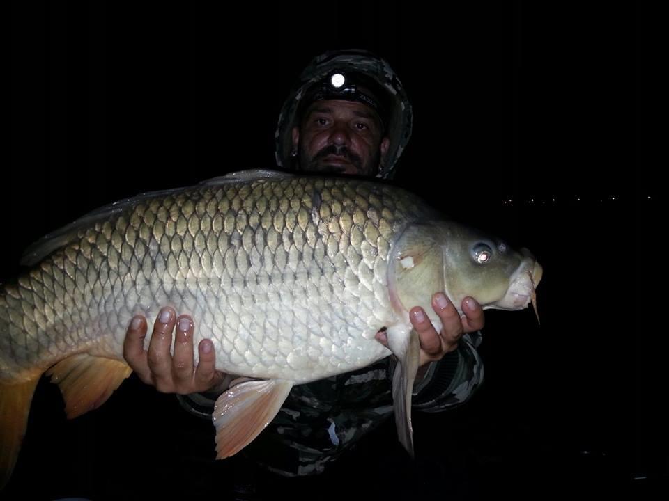 Just Fishing. - 9444383831303584674711391646175n.jpg